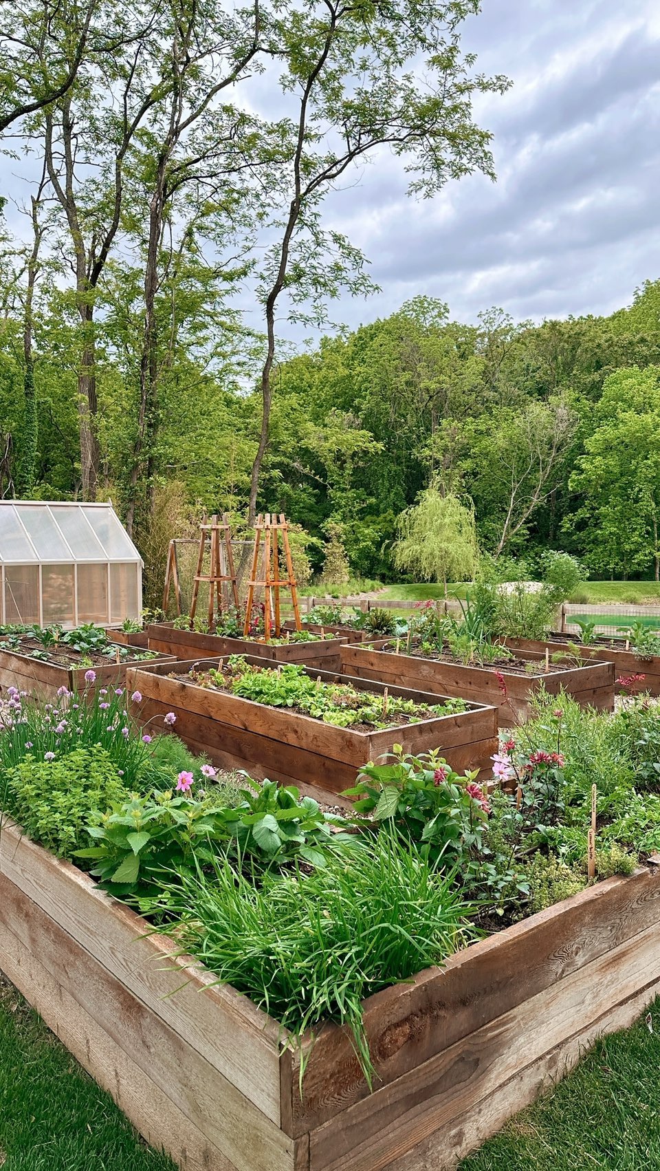 vegetable garden layout