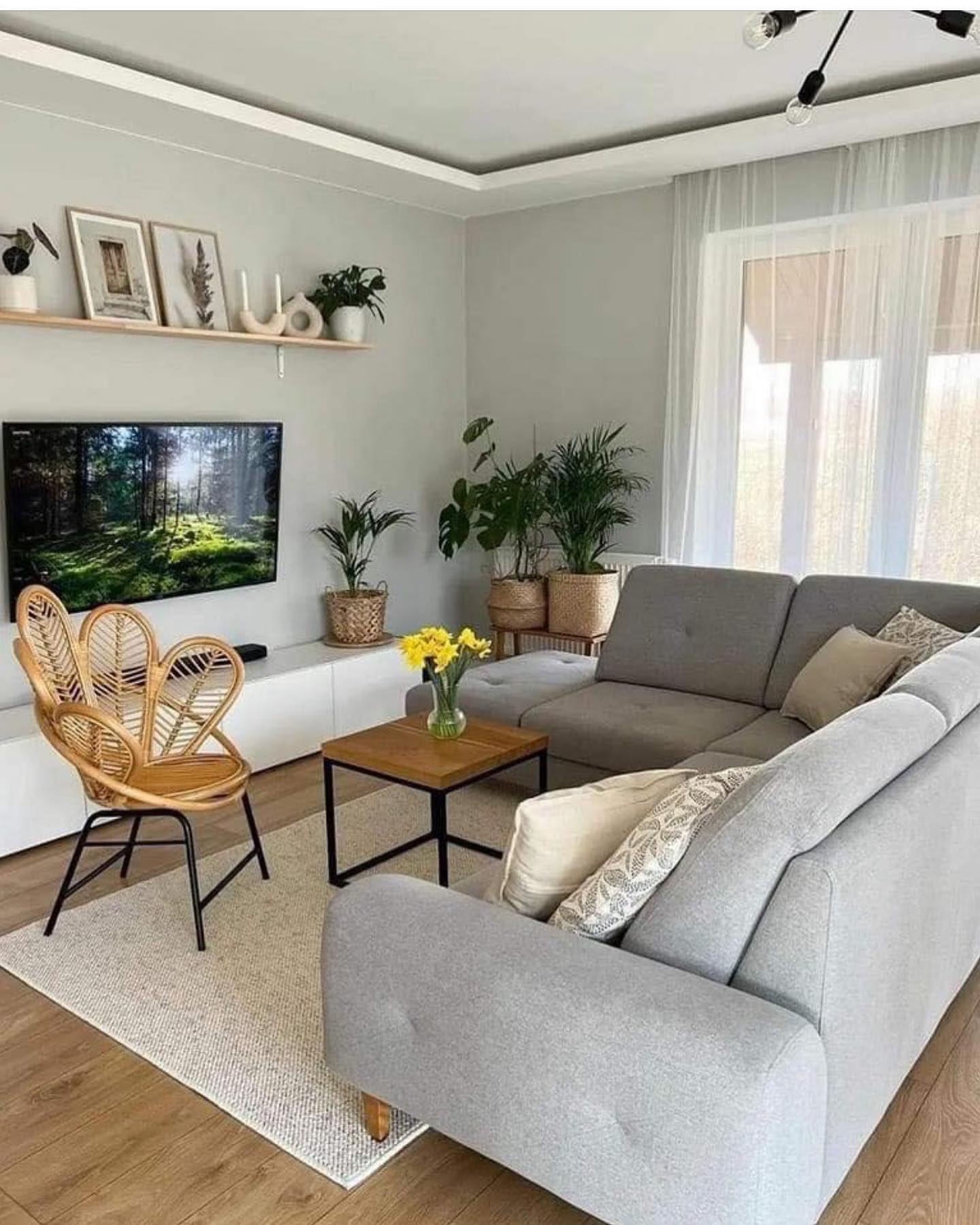 small apartment living room