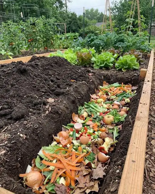 edible garden ideas