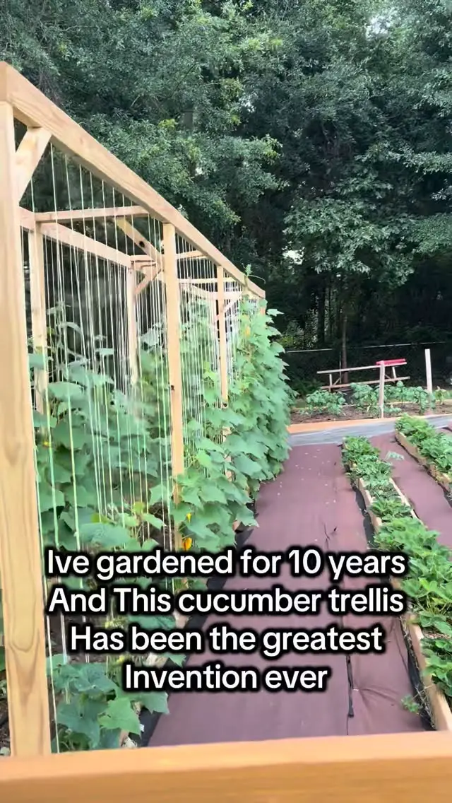 garden trellis ideas