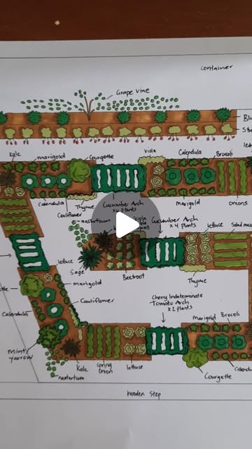 edible garden ideas