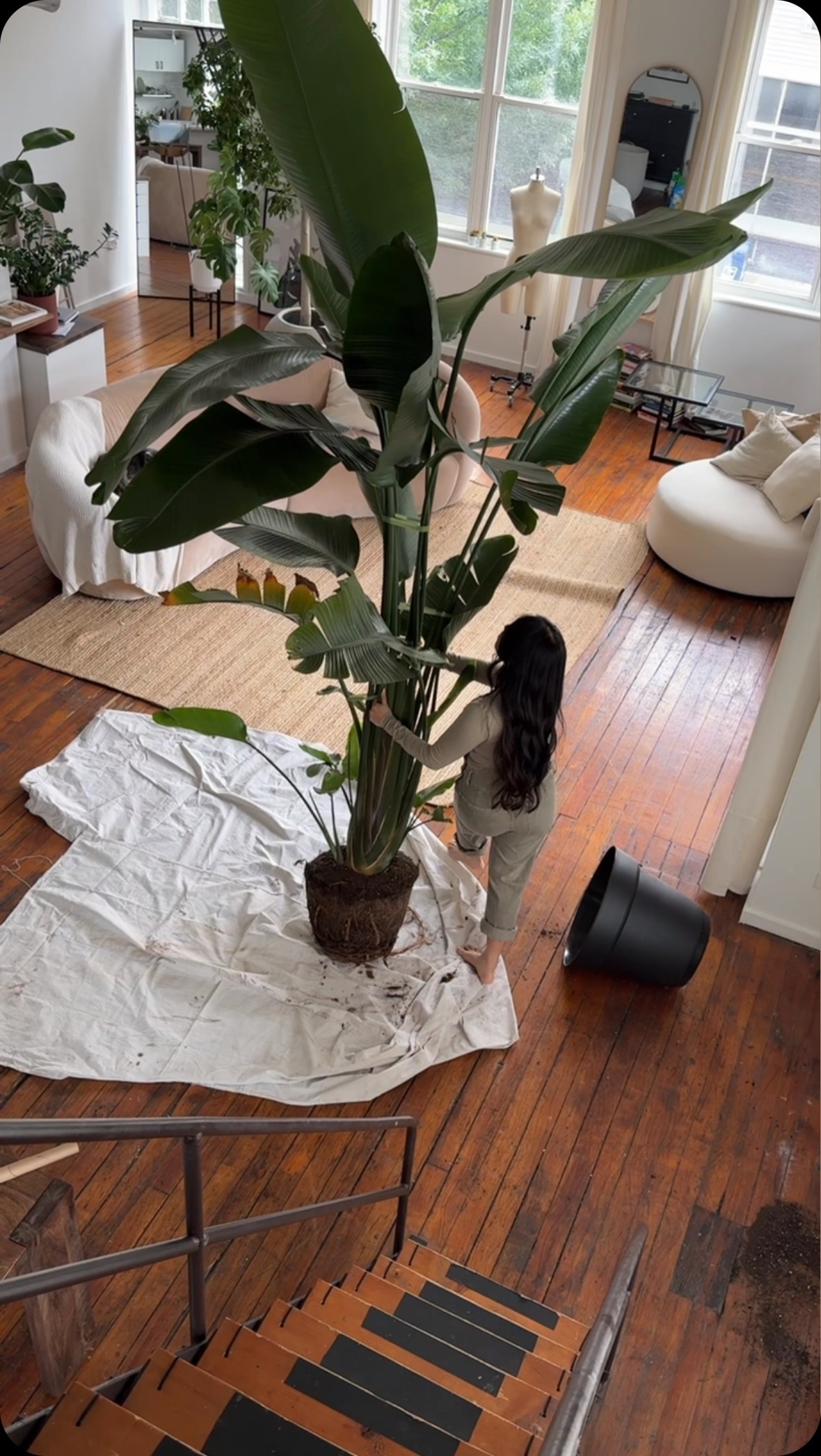 plant filled apartment