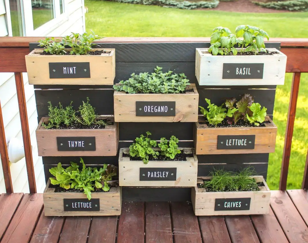 herb garden ideas