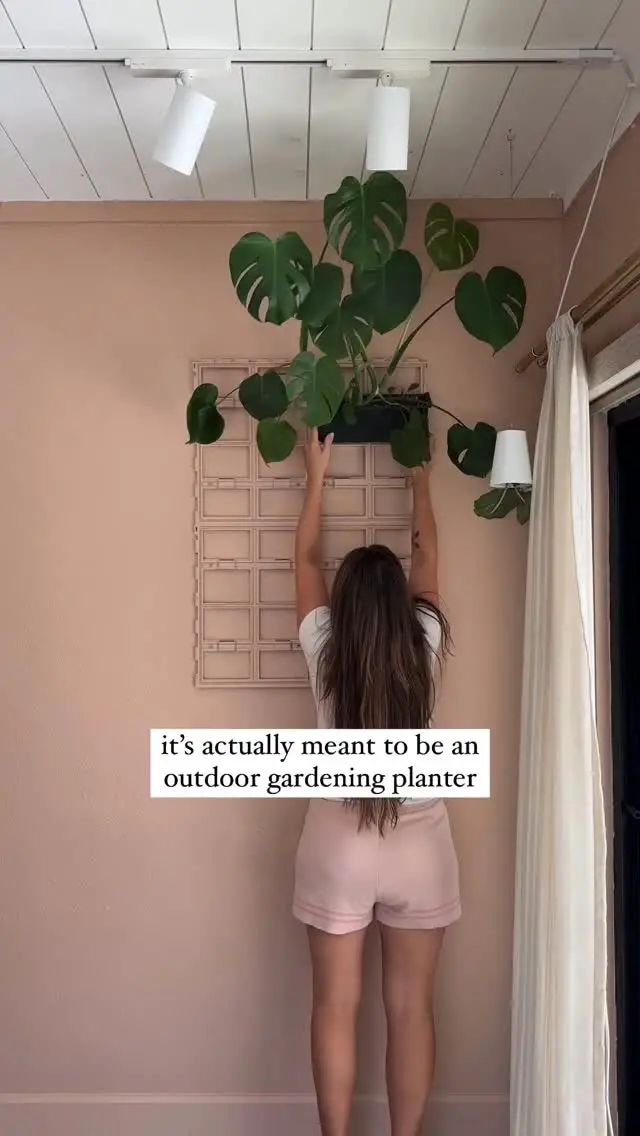 plant filled apartment