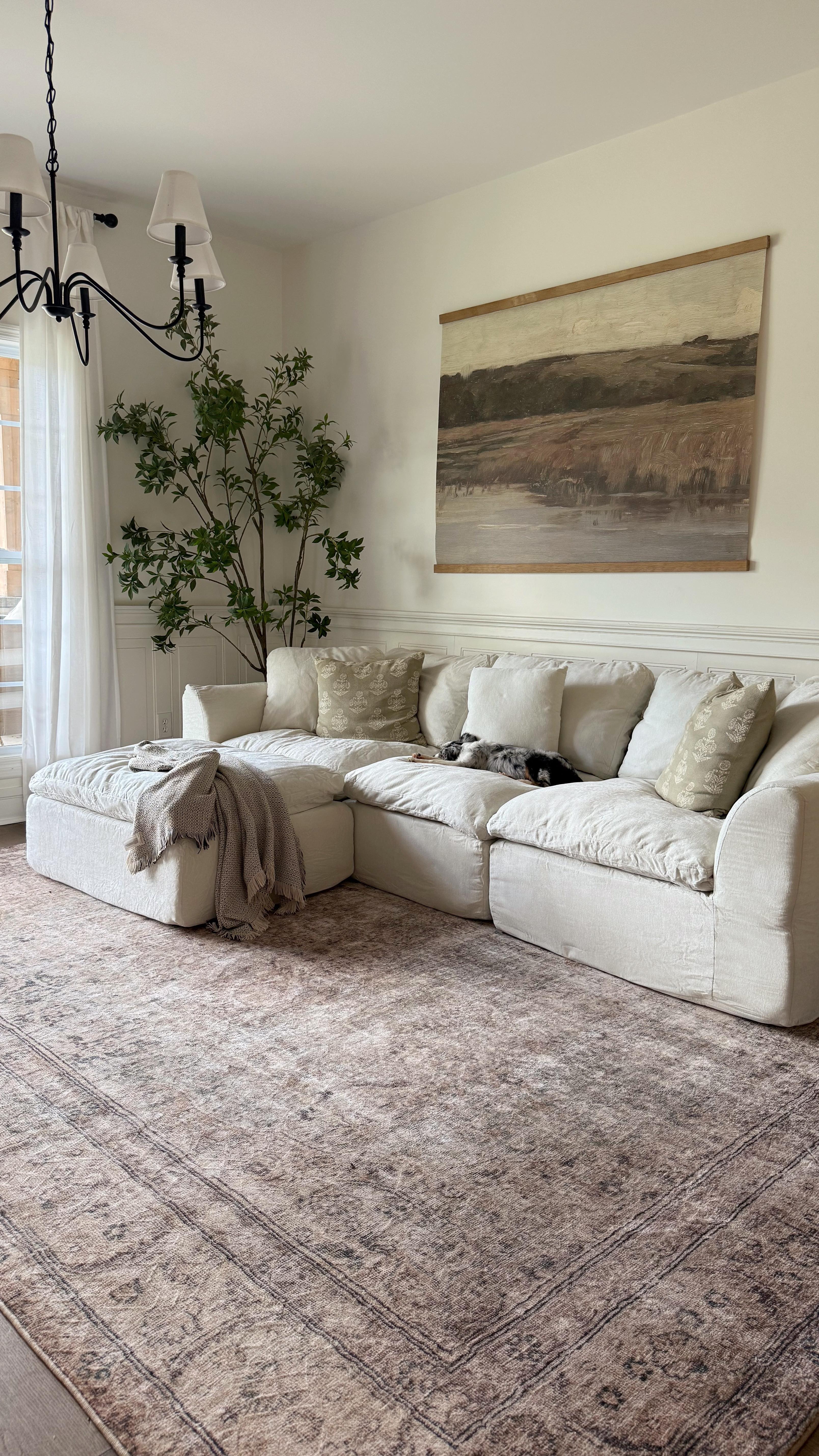 apartment couch ideas