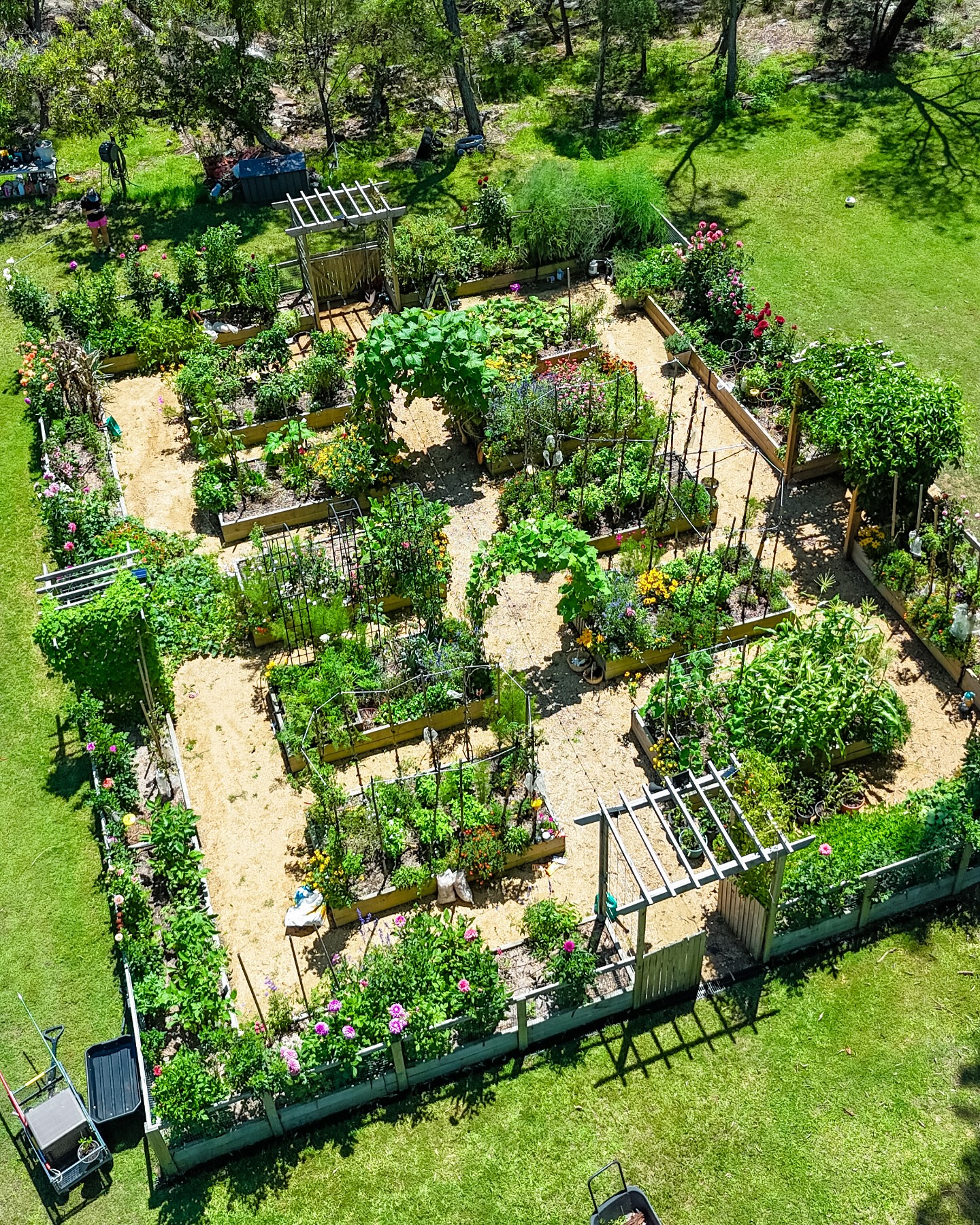 vegetable garden layout