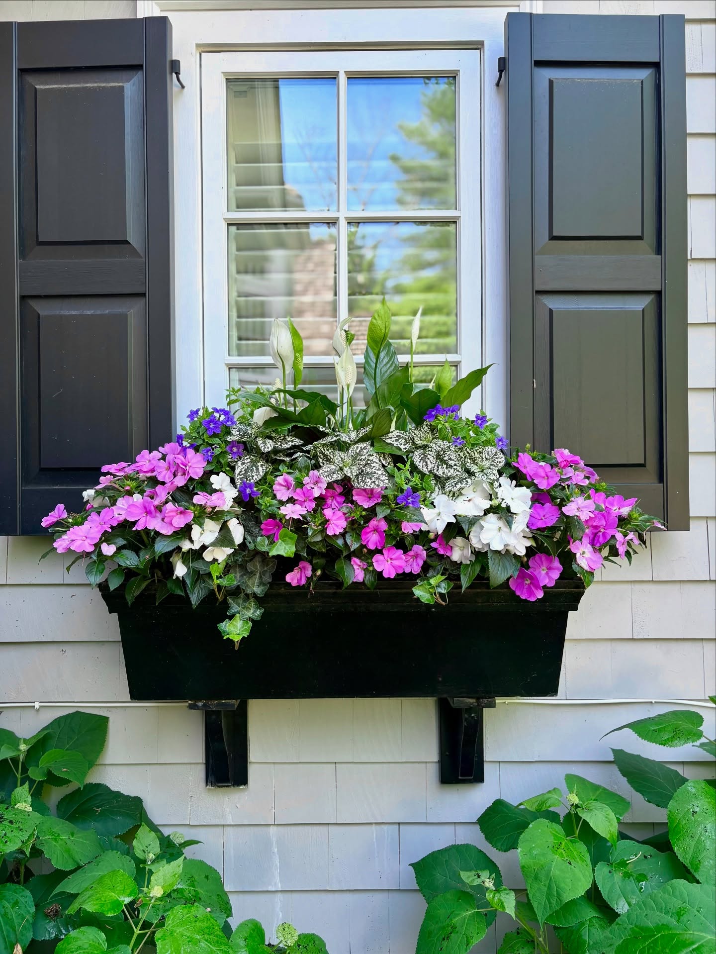 window box ideas