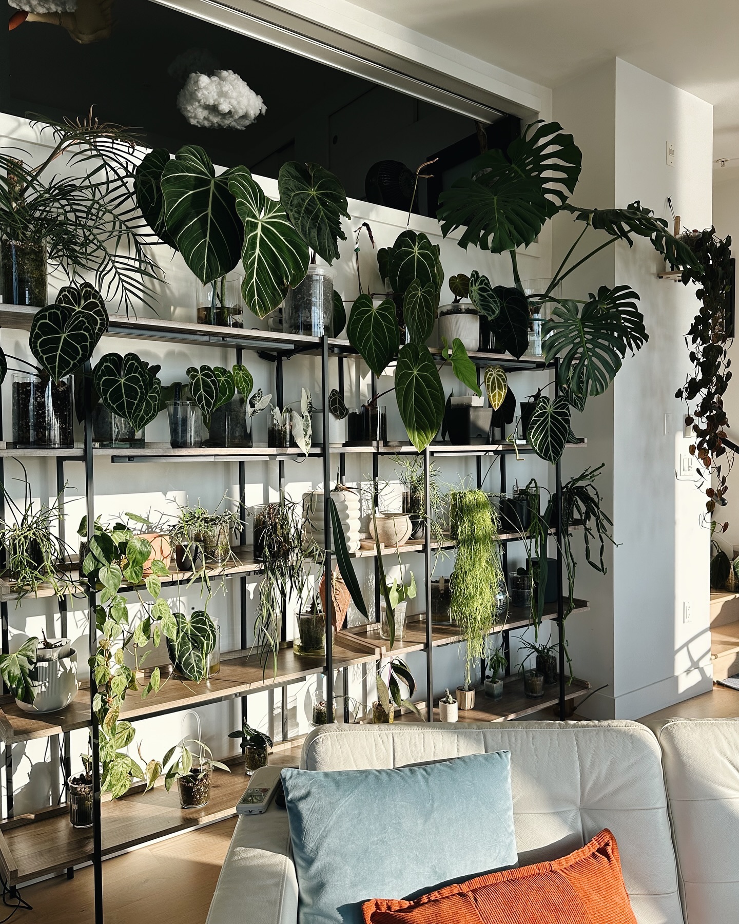 plant shelf styling