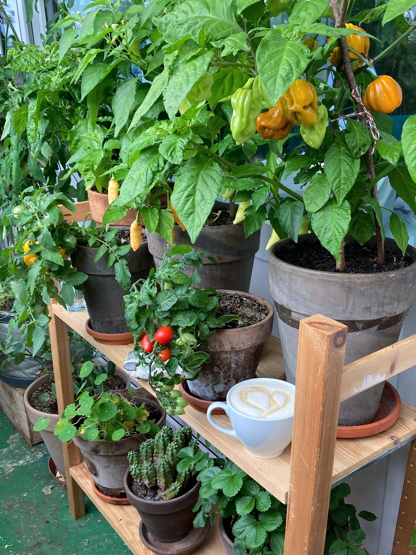 small space gardening