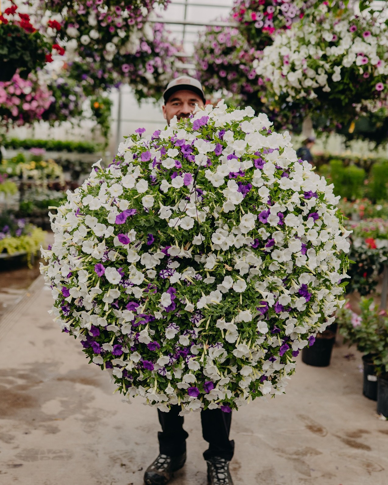 hanging basket ideas