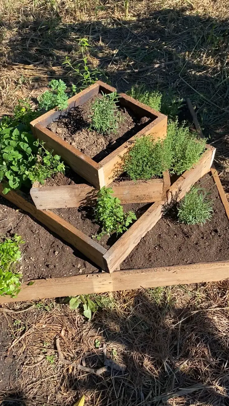 upcycled garden ideas