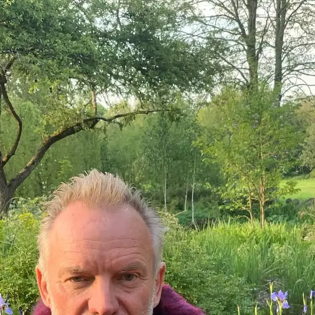 garden fountain ideas